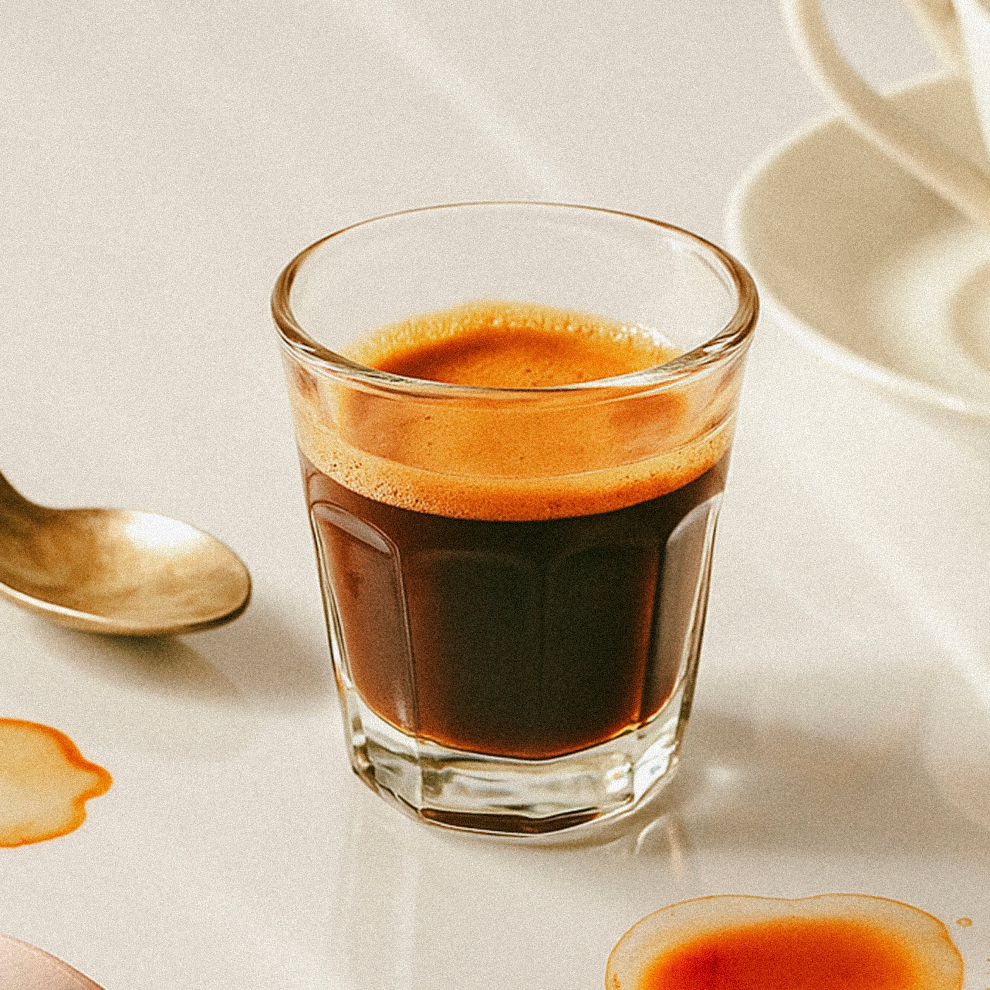 What Makes Specialty Coffee Different From Regular Coffee?